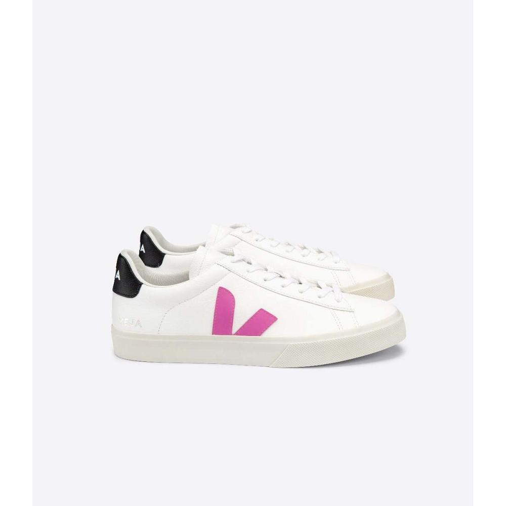 Veja CAMPO CHROMEFREE Low Tops Sneakers Damske White/Purple | SK 597FDN